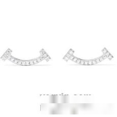 2022 争奪戦必至 ティファニー Tiffany&Coブランド 偽物 通販 ピアス 超レア イヤリング