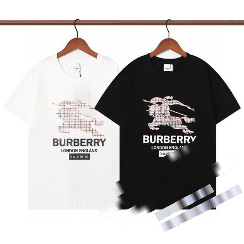 芸能人に愛用者続出 2022 バーバリー BURBERRY 人気 ランキング 半袖Tシャツコピー 2色可選