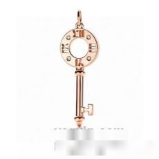 売れ筋のいい ブランド 偽物 通販 2022 ティファニー Tiffany&Co ネックレス ペンダントトップ 2色可選