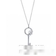 TIFFANY&COコピー ブランド 個性的なデザ 2022 ティファニー Tiffany&Co ネックレス 2色可選 ファッション小物 ペンダントトップ