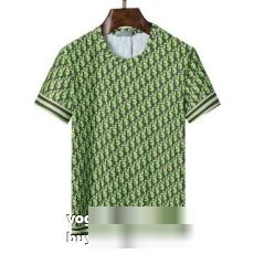 絶大な人気を誇る 2022秋冬 ディオール DIOR 半袖Tシャツ DIORコピー