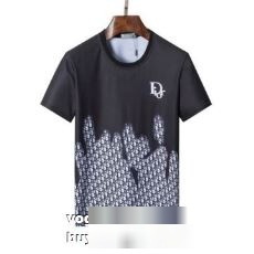 DIORコピー ブランド 2022秋冬 スタイルアップ効果 ディオール DIOR 半袖Tシャツ 2色可選