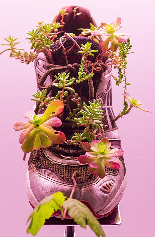 銀座メゾンエルメスでミシェル・ブラジーの展覧会「リビングルーム II」家電製品に植物が生えた作品などコピー