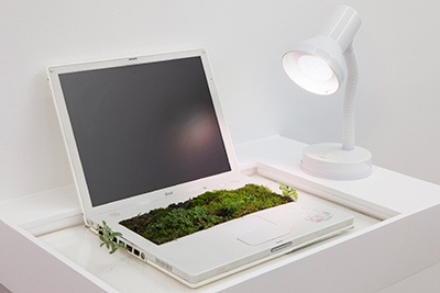 銀座メゾンエルメスでミシェル・ブラジーの展覧会「リビングルーム II」家電製品に植物が生えた作品など