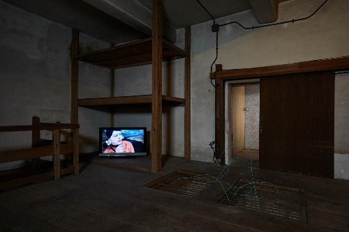 銀座メゾンエルメス フォーラムで「輝板膜タペータム」落合多武展"絵画・彫刻・写真"を組み合わせて展示コピー 銀座メゾンエルメス フォーラムで「輝板膜タペータム」落合多武展"絵画・彫刻・写真"を組み合わせて展示コピー