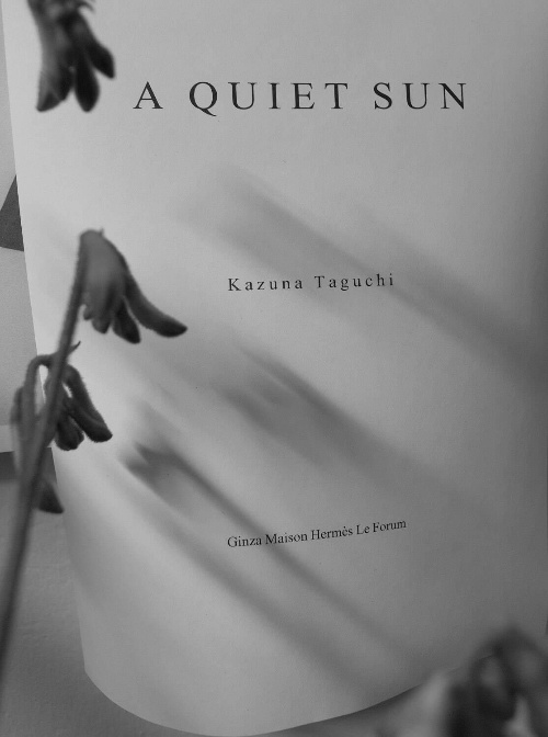 「A Quiet Sun」田口和奈展が銀座メゾンエルメス フォーラムで、記憶が息づく“イメージの空間”コピー 「A Quiet Sun」田口和奈展が銀座メゾンエルメス フォーラムで、記憶が息づく“イメージの空間”コピー