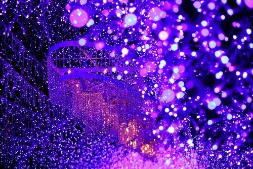 江の島「湘南の宝石」イルミネーション、7万個のスワロフスキー・クリスタル輝くシャンデリアゲートコピー