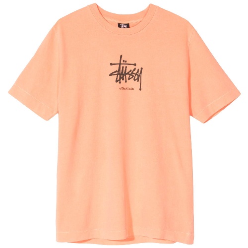 ステューシーとマシュー M.ウィリアムがコラボ、グラフィックTシャツ＆伊シューズブランドのブーツコピー