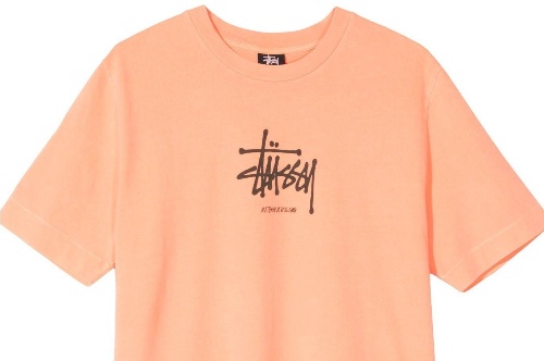 ステューシーとマシュー M.ウィリアムがコラボ、グラフィックTシャツ＆伊シューズブランドのブーツ