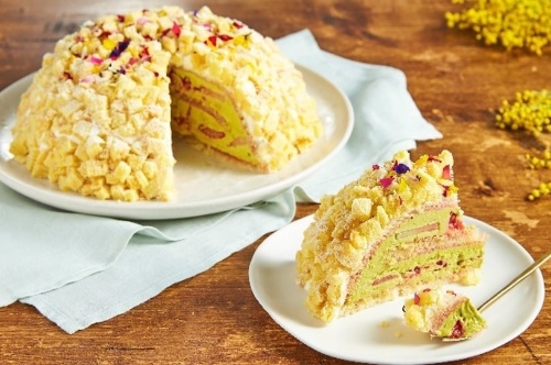 スタバ手掛ける「プリンチ」のミモザケーキ、“ピスタチオや苺入り”で華やかにアップデート