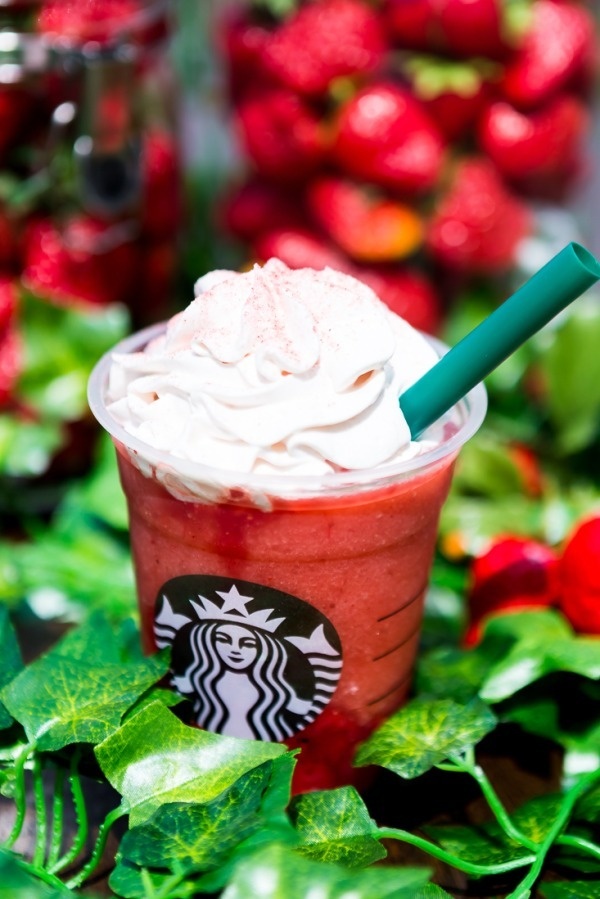 スタバ新作「ストロベリーベリーマッチフラペチーノ」本物以上のイチゴ感&ビニールハウス店舗もコピー スタバ新作「ストロベリーベリーマッチフラペチーノ」本物以上のイチゴ感&ビニールハウス店舗もコピー