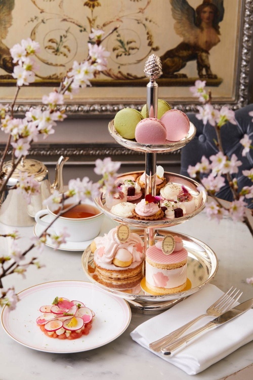 ラデュレの桜スイーツ、桜の花を飾ったショートケーキや「サクラ・ツリー」マカロンタワーコピー