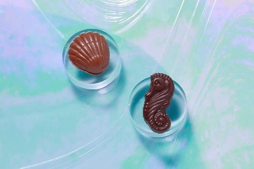 ジャン=ポール・エヴァン夏限定“海の生き物”ショコラ、熱帯魚&タツノオトシゴや貝のチョコなどコピー ジャン=ポール・エヴァン夏限定“海の生き物”ショコラ、熱帯魚&タツノオトシゴや貝のチョコなどコピー