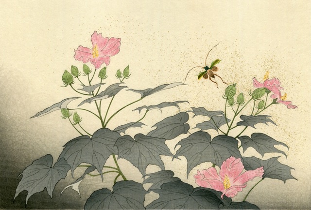 江戸の浮世絵に学んだ立原位貫、matohu表参道本店で展覧会 - 木版画で日本の美に触れるコピー