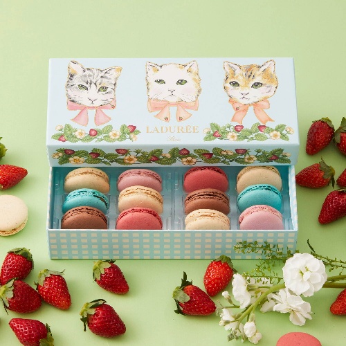 ラデュレのバレンタイン2022“猫＆イチゴ”を描いたカラフルマカロンボックス、苺チョコレートもコピー