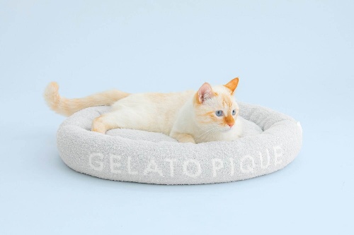 ジェラート ピケ初の“ペットグッズ”犬猫用の新ライン、ふわもこウェアやカップアイス型ハウスコピー ジェラート ピケ初の“ペットグッズ”犬猫用の新ライン、ふわもこウェアやカップアイス型ハウスコピー