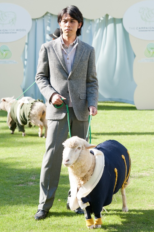 ウールをもっと身近なものに、"THE CAMPAIGN FOR WOOL"コピー